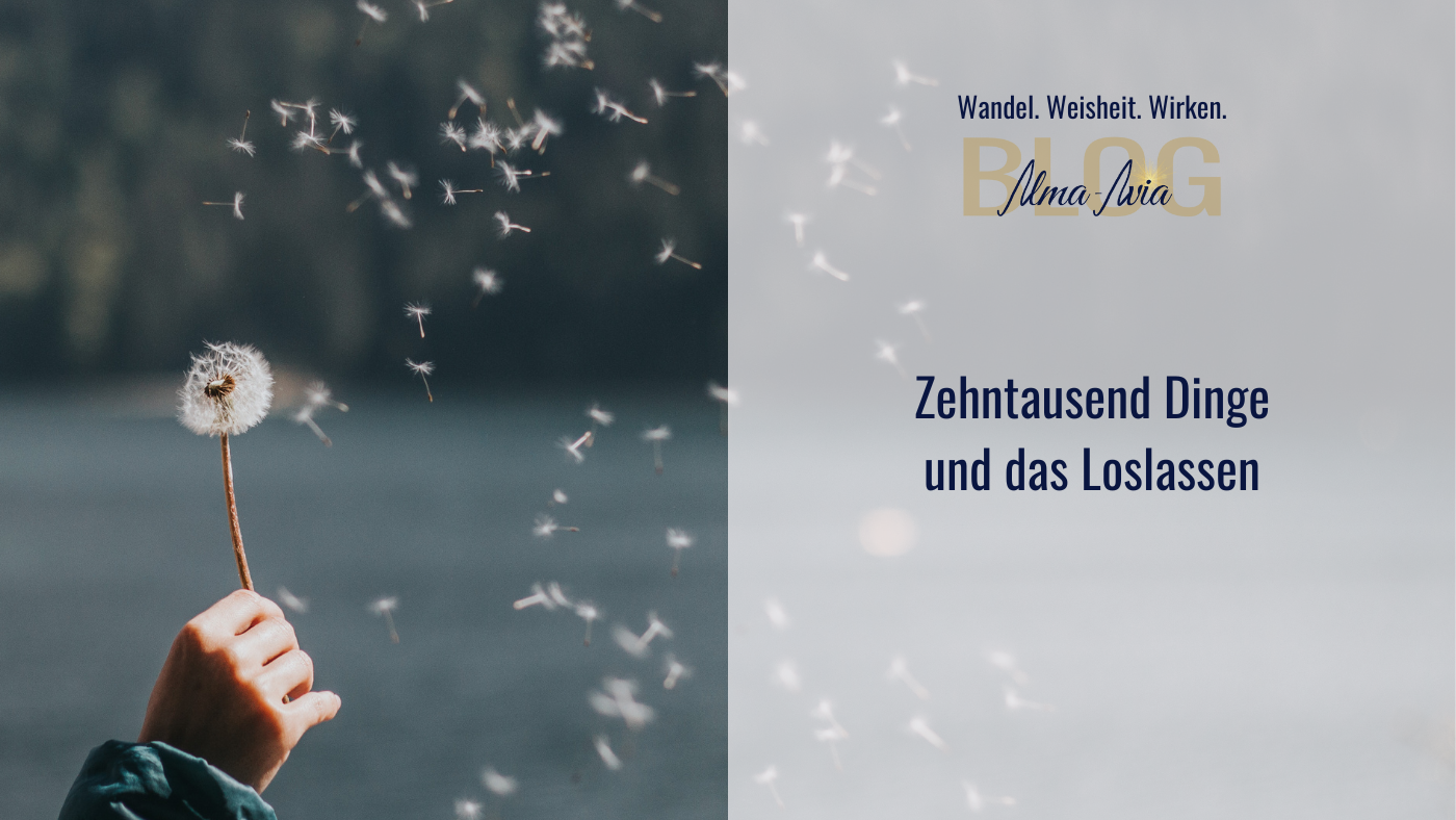 Pusteblume verliert ihre Samenschirme als Symbol für die Fruchtbarkeit im Loslassen
